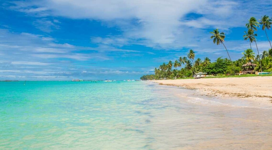 MARAGOGI, CARIBE BRASILERO